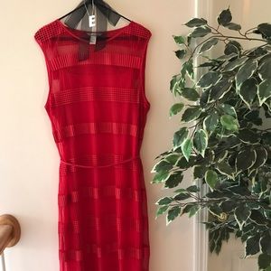 ❤️ Ravishing Red Mesh Dress with Slip Insert